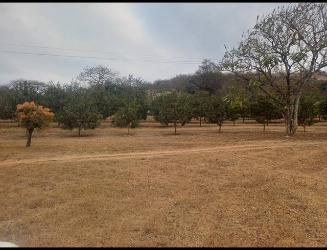21HA FARM FOR SALE IN NELSPRUIT RURAL